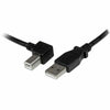 Cavo USB A con USB B Startech USBAB1ML             Nero-0