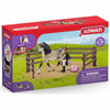 Playset Schleich Andalusian horses care kit-1