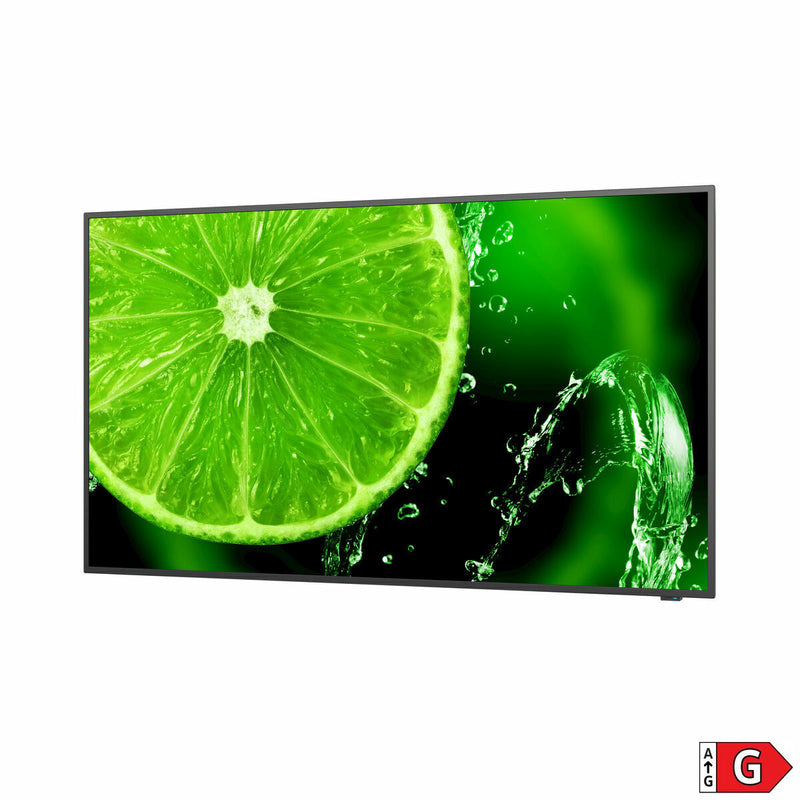 Monitor NEC 60005052 49" IPS LED-4