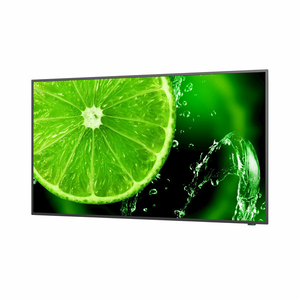 Monitor Videowall NEC 60005059 UHD 4K Ultra HD 65" 60 Hz 65"-0