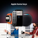 Aqara Serratura Smart U200 (Tastiera Fingerprint Inclusa), Matter over Thread, Apple Home Key e Batteria Ricaricabile, Supporta Apple Homekit, Google Home, Alexa e SmartThings, Argento Aqara