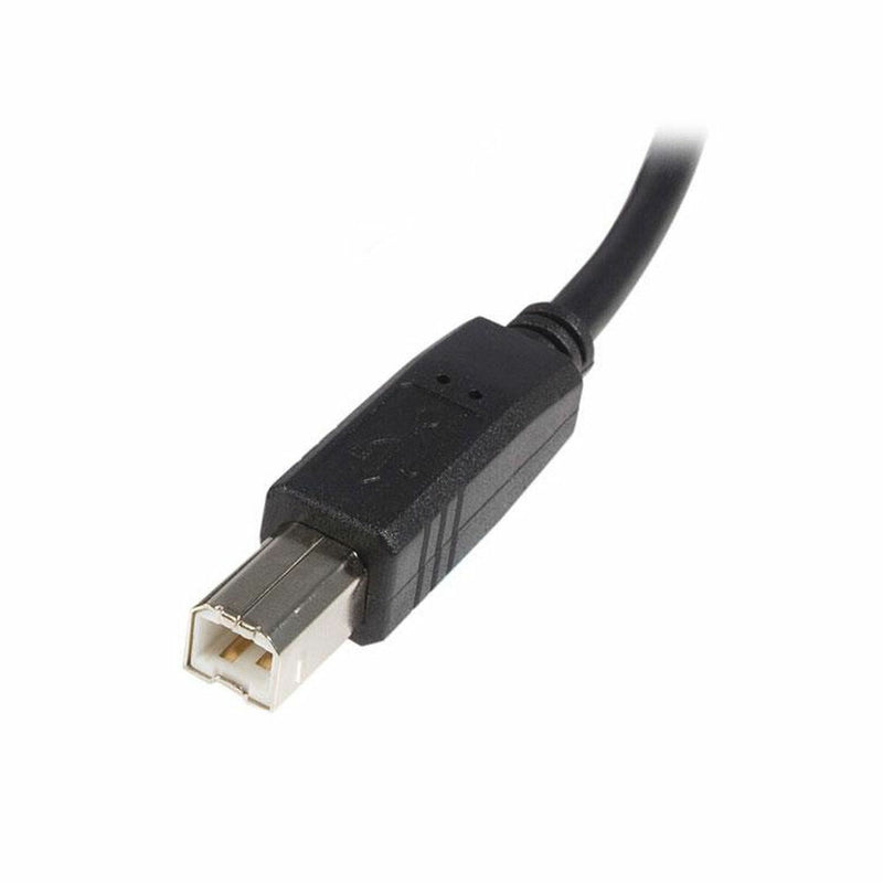 Cavo USB A con USB B Startech USB2HAB2M            Nero-2