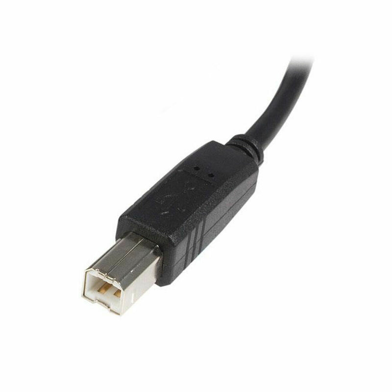 Cavo USB A con USB B Startech USB2HAB5M            Nero-2