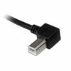 Cavo USB A con USB B Startech USBAB1ML             Nero-1