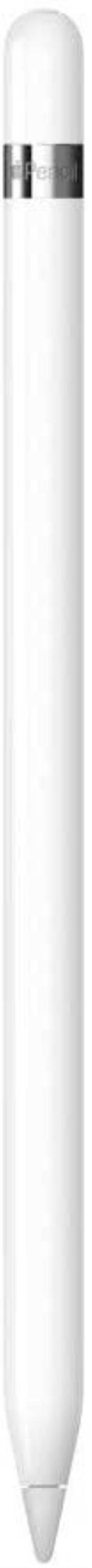 Apple Pencil 1Gen per iPad +Adattatore USB-C MYQW3ZM/A-0