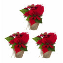 Fiori Decorativi Natale (Ricondizionati B) - bigeshop