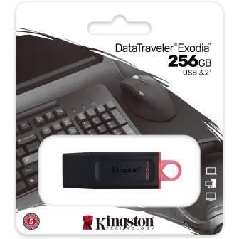 Kingston Pendrive USB-A 3.2 256GB DTX/256GB Nero/Rosa-0